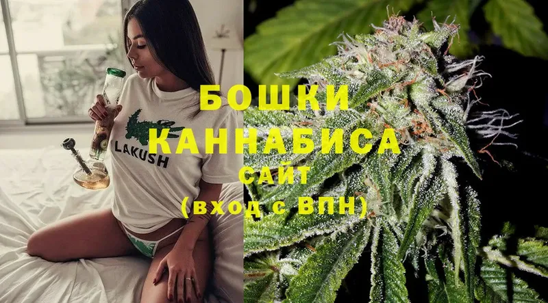 Бошки Шишки OG Kush  сколько стоит  ссылка на мегу ссылки  Каргополь 